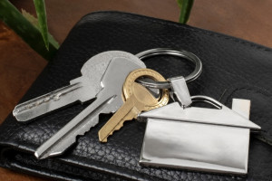 Москвичка фиктивно прописала в доме в Меленках 5 человек