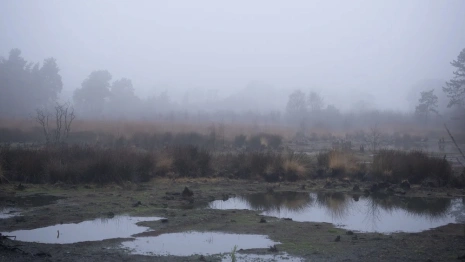 Застрял в болоте и не мог кричать. Владимирские поисковики рассказали самые яркие истории