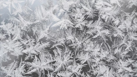 Синоптики рассказали, придут ли во Владимирскую область обещанные заморозки до -25