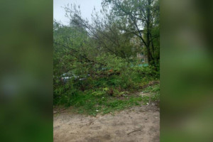 Жители Владимира пожаловались на состояние остановки на Балакирева
