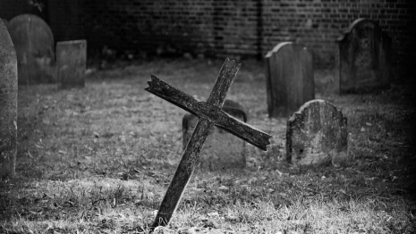 Во Владимирской области тело убитой женщины нашли спустя полтора года