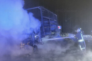 В Суздальском районе спасатели вытащили водителя из авто после ДТП с пожаром