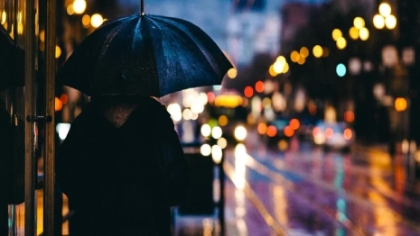 Во Владимирской области за две недели выпадет месячная норма осадков