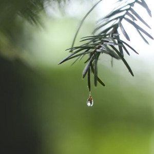 Прогноз погоды во Владимире и области на 5 мая 2024 года