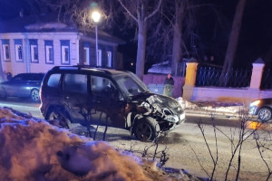Во Владимирской области повозку с туристами сбил замначальника полиции