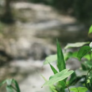 Во Владимире пропавшую 41-летнюю женщину в толстовке нашли живой