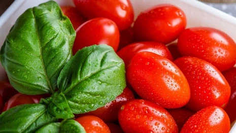 Прогноз погоды во Владимире и области на 10 июня 