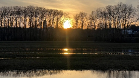 Прогноз погоды во Владимире и области на 17 апреля