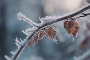Прогноз погоды во Владимире и области на 2 февраля