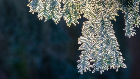 Прогноз погоды во Владимирской области на 4 декабря