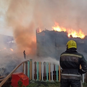Во Владимирской области при пожаре спасли 28 лошадей