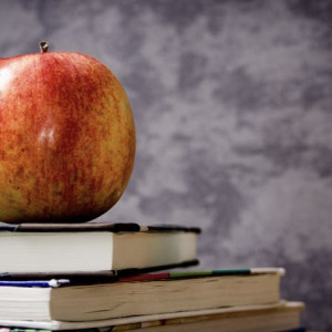 Еще 4 выпускника из Владимира набрали 100 баллов по ЕГЭ