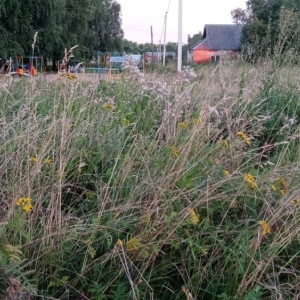 Следком начал проверку после смерти 15-летнего подростка в карьере под Юрьев-Польским