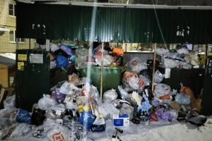 Мэр Владимира признал проблемы с вывозом мусора