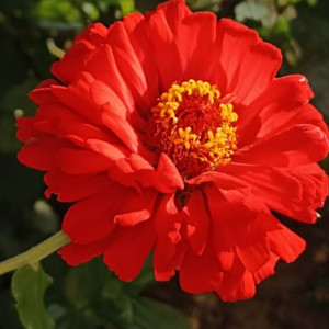 Во Владимирскую область придет долгожданное тепло