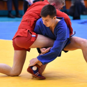 Во Владимире пройдут соревнования по мужскому самбо