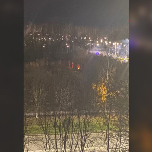 Жители Владимира развели огромный костер в парке «Добросельский»