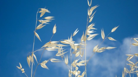 Прогноз погоды во Владимирской области на 28 июня