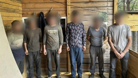 Из Владимирской области выдворили 5 нелегальных мигрантов