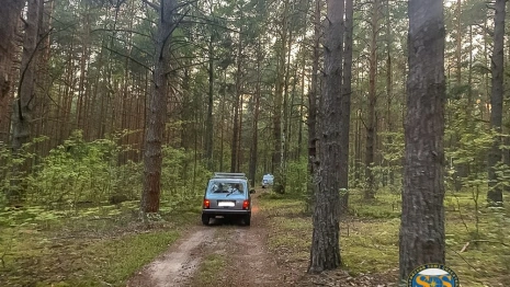 Во Владимирской области из леса спасли 100-летнего охотника