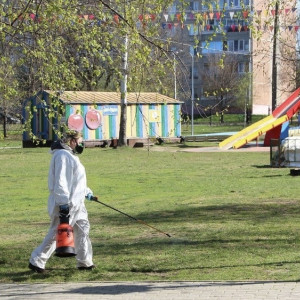 Во Владимире парк «Дружба» закрыли на обработку против клещей