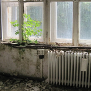 Во Владимирской области для переселенцев из ветхого фонда построят 15 домов