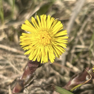 14 день второй седмицы Великого поста: что можно и нельзя 31 марта