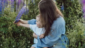 Во Владимирской области насчитали 4 матерей-героинь