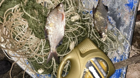 Владимирские полицейские задержали браконьера из Нижегородской области