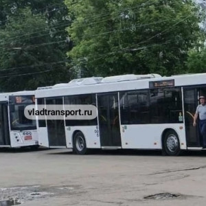 Во Владимире приехали новые автобусы МАЗ