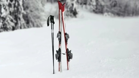 Во владимирском парке «Дружба» появится аллея имени Прокуророва