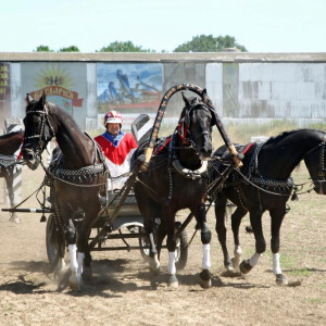 Авдеев сравнил езду на русской тройке с управлением Владимирской областью