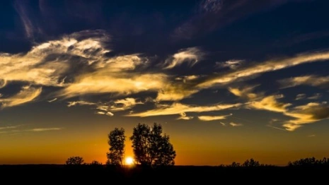 Прогноз погоды во Владимире и области на 18 августа 2025 года