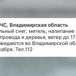 Жителей Владимирской области предупредили о сильном снегопаде 26 декабря