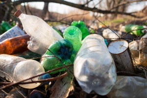 Компания из Подмосковья выкупила землю во Владимирской области под мусорный полигон
