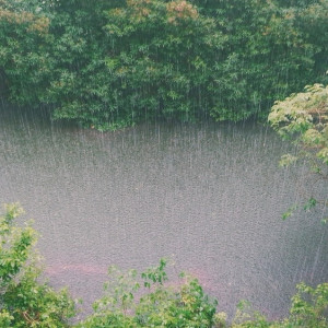 Синоптики дали неутешительный прогноз на майские праздники во Владимире