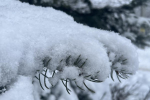 В конце ноября во Владимирскую область придет череда снегопадов