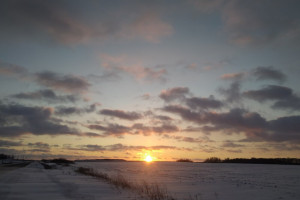 Во Владимирской области первая рабочая неделя зимы закончится похолоданием до -5