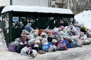 Во Владимирской области не смогли решить проблемы с вывозом мусора