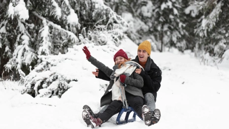 Введение во храм Богородицы: что нужно сделать 4 декабря, чтобы был хороший урожай