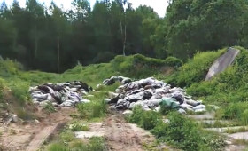 В деревне под Александровом нашли разбросанные останки животных