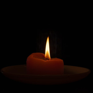 Во Владимирской области скончался директор ООО «Эколес»