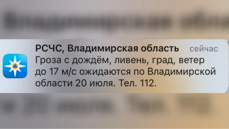 МЧС предупредило жителей Владимирской области о грозе и граде 20 июля