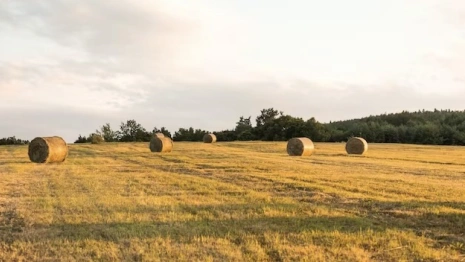 Стали известны призеры конкурса «Самая красивая деревня Владимирской области»
