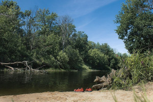 Река под Лакинском оказалась самой грязной в регионе