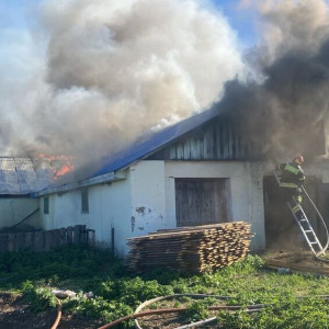 Под Суздалем загорелась гусиная ферма