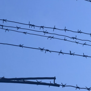 В Александровском районе двое парней до смерти избили соседа их друга