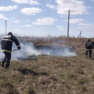 В Суздальском районе дважды за сутки загорелась сухая трава