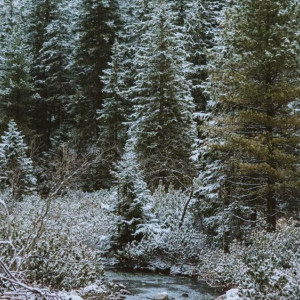 Во Владимирской области 59-летнего мужчину в синей шапке нашли живым