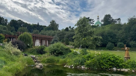 Выходные во Владимирской области окажутся прохладными и дождливыми